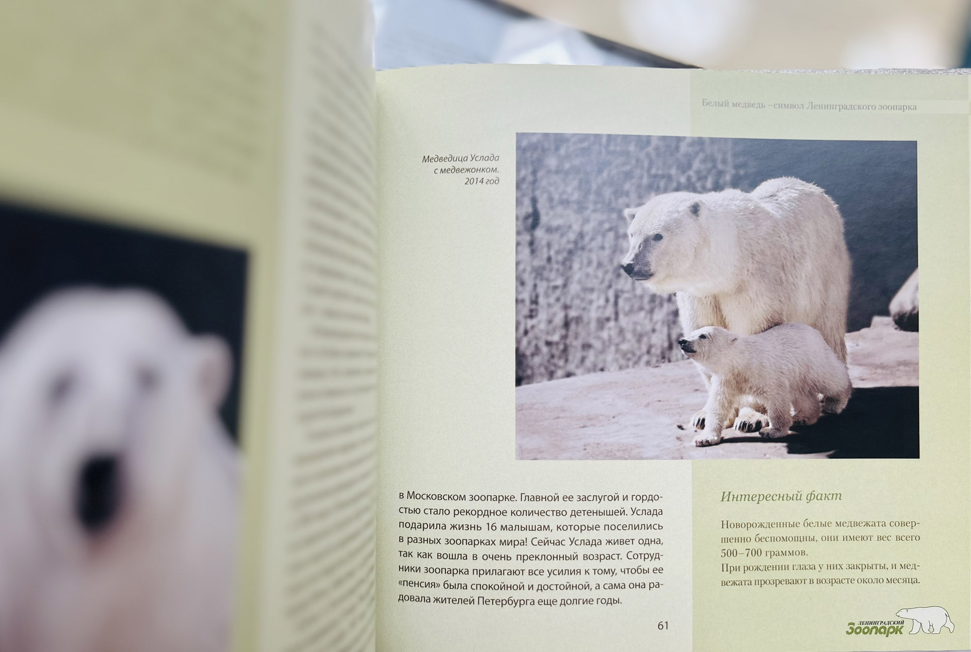  «Ленинградский зоопарк: история и обитатели» - выставка в РНБ2