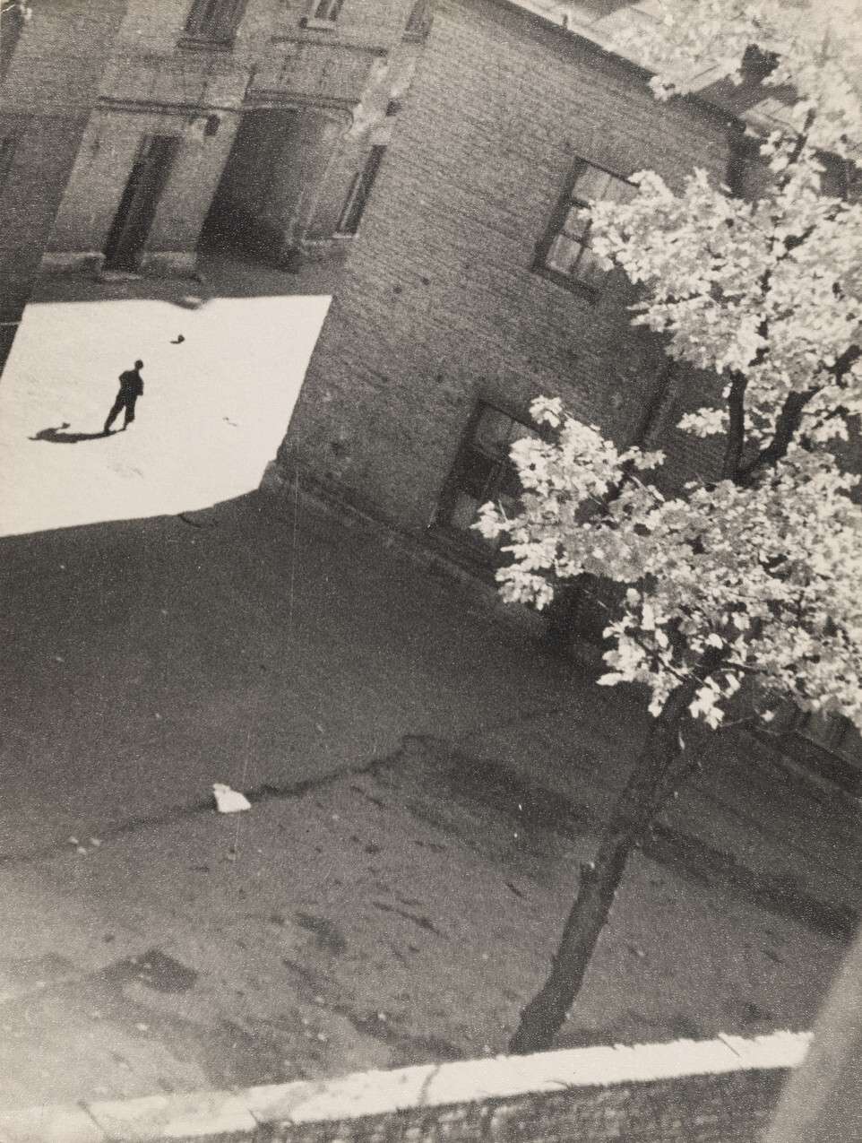 «Петербургский фотоуикенд» случится в РОСФОТО4