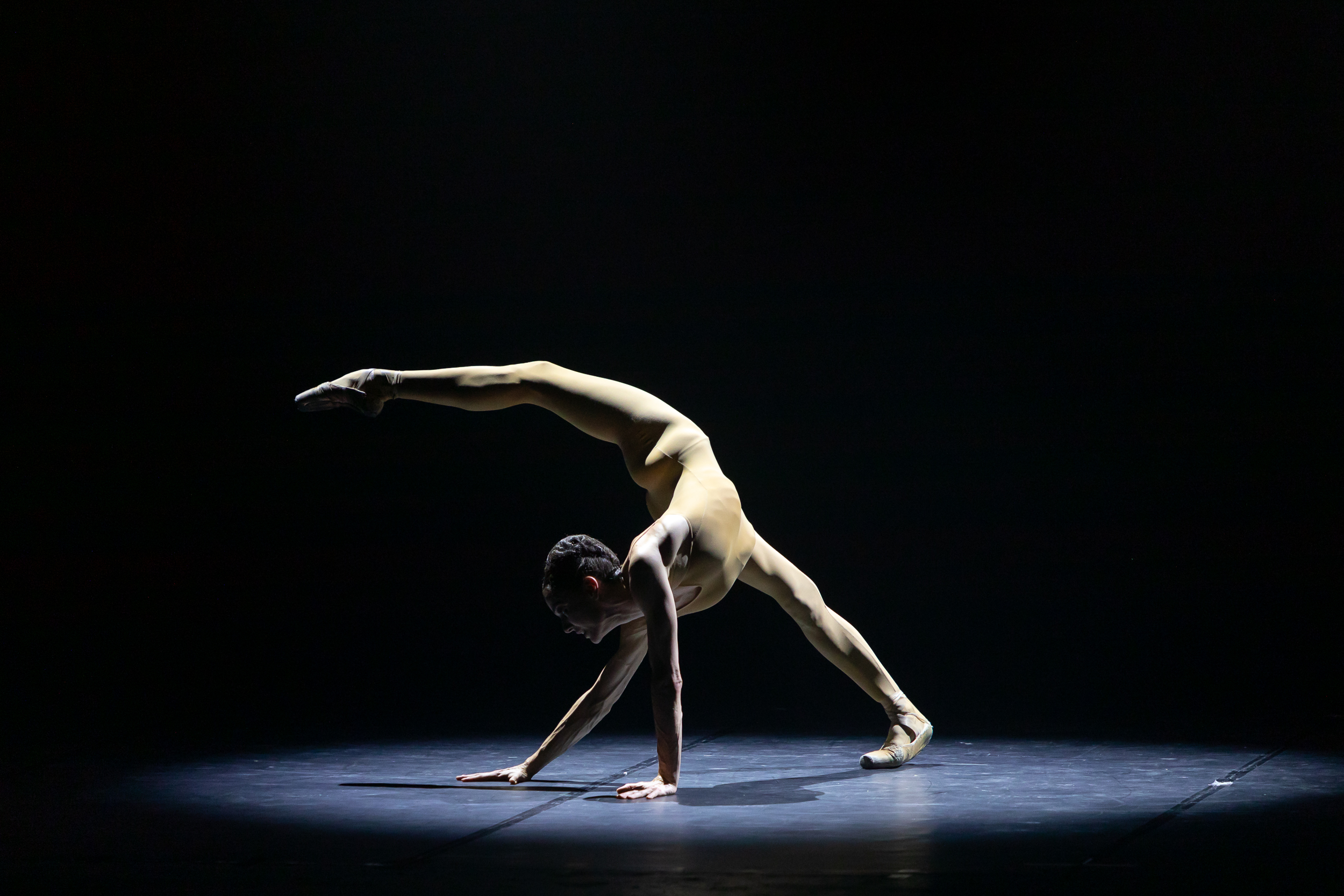 Театр Бориса Эйфмана отправится на гастроли в Индию 5