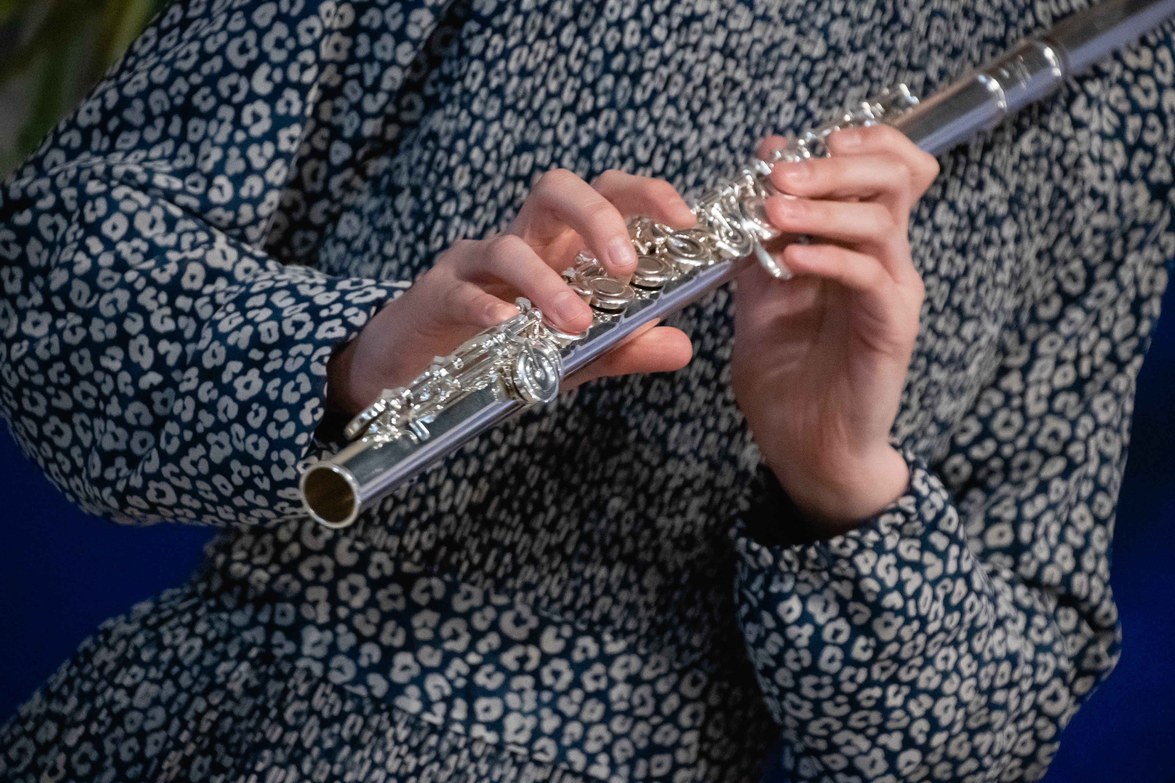 В медиацентре «Культура Петербурга» зацвели «Живые цветы земли» 6