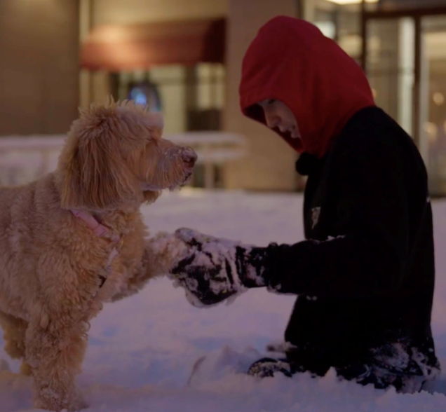 «Ленфильм» представит новый документальный фильм «Максимум»