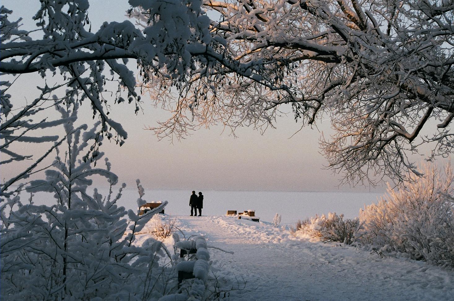 МК в Разливе