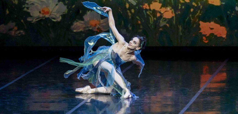 Санктъ-Петербургъ Опера готовит посвящение Анне Павловой