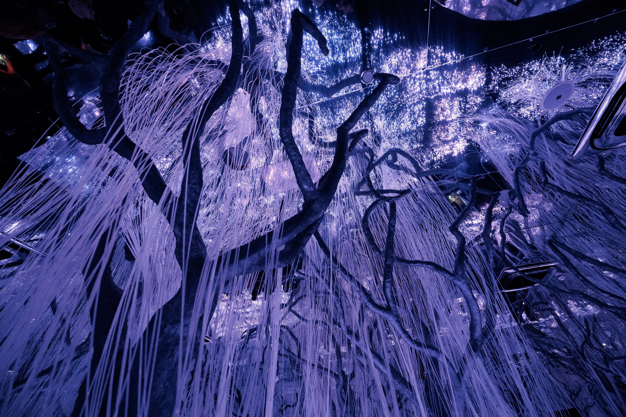 Петербургские художники превратят шрамы в свет8