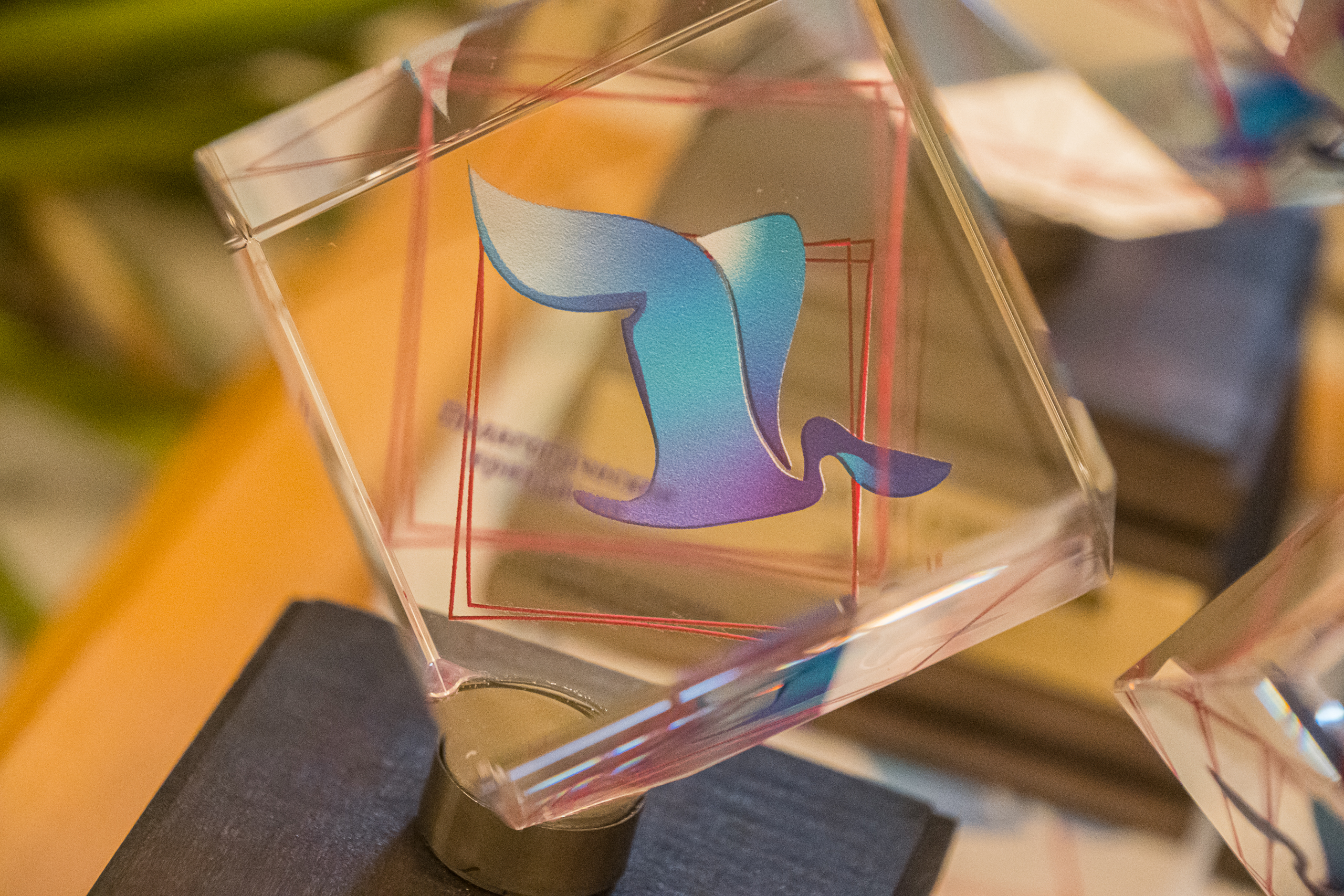 В Капелле наградили лучших учителей в сфере культуры и искусств15