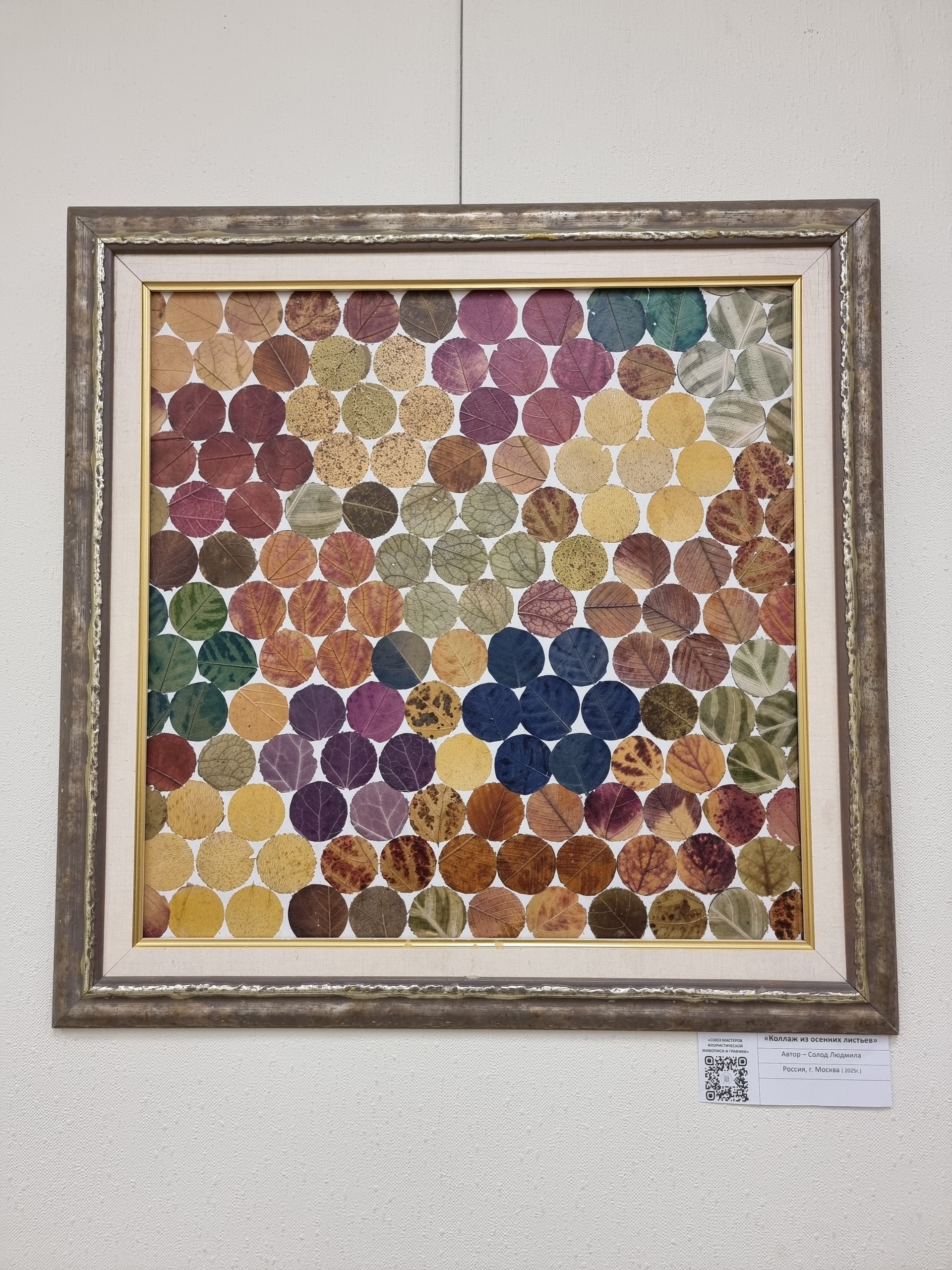 Вместо красок - лепестки: выставка в Ботаническом саду1