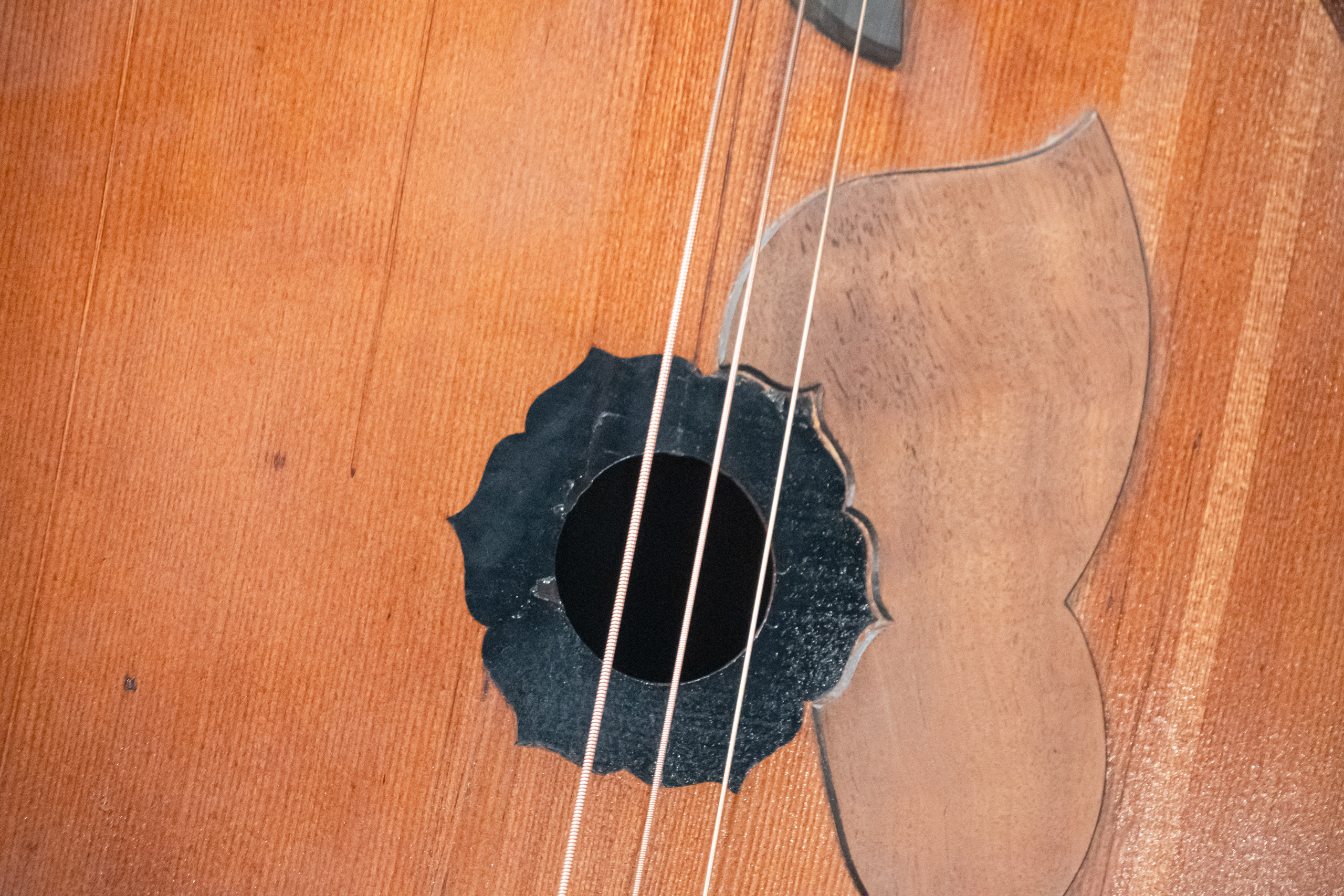 В медиацентре «Культура Петербурга» анонсировали «Новую жизнь басовых инструментов»4