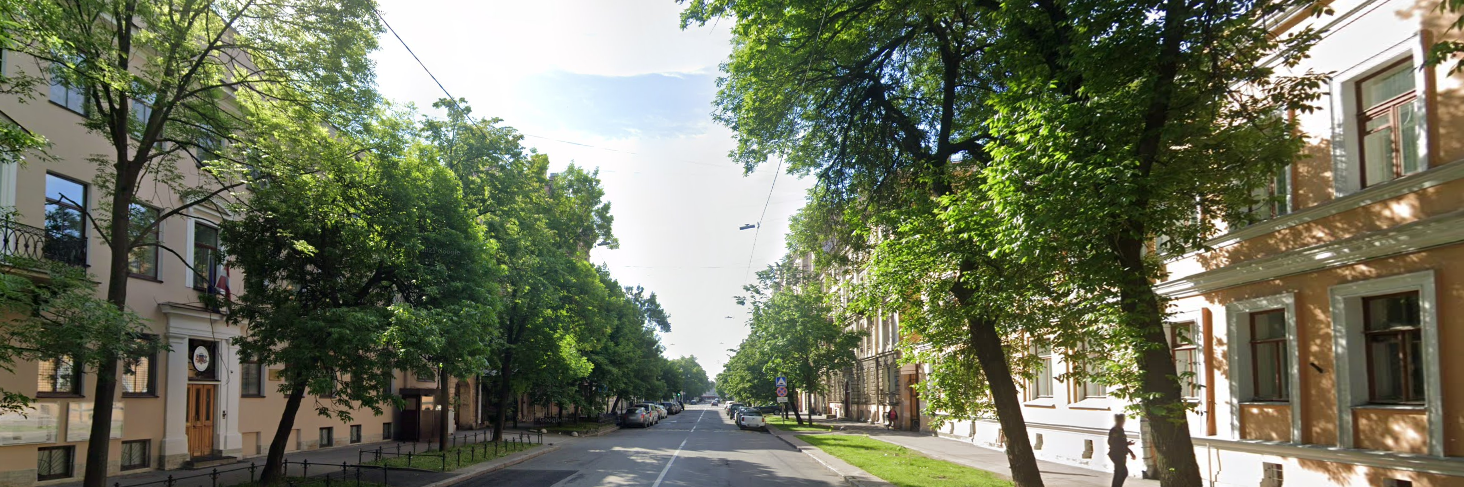 В Петербурге снимут фильм «Царь ночи»