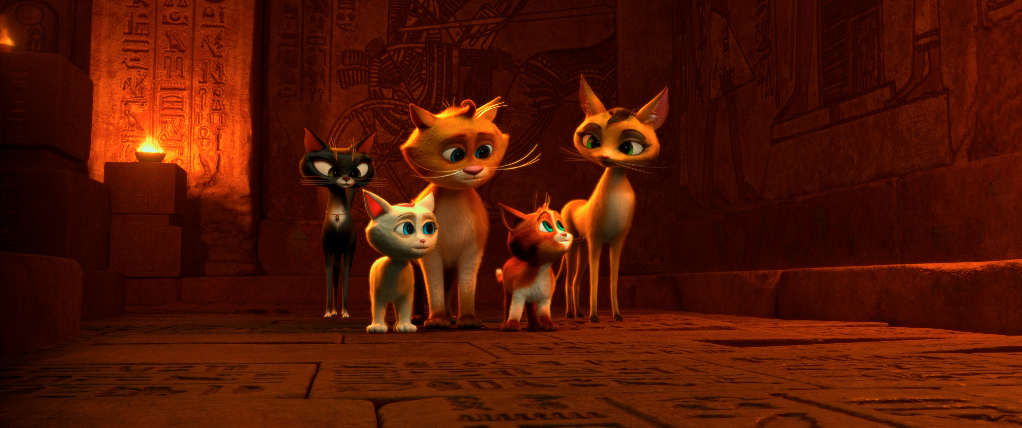 Коты Эрмитажа разгадают тайну Египетского зала 1