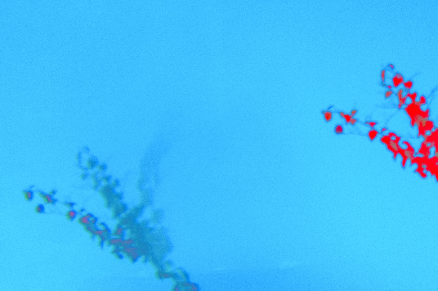 Выставка «Нерассказанные истории» откроется в арт-пространстве «ШКАФ»5