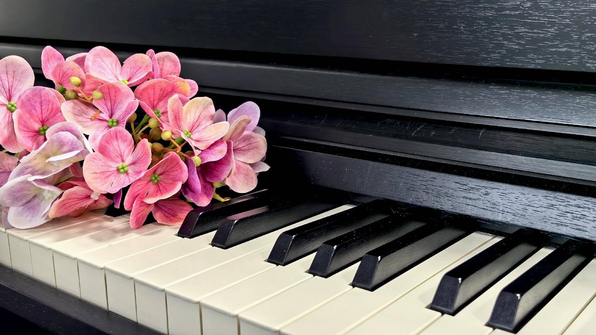 Архив Кузьмичевой В.О.