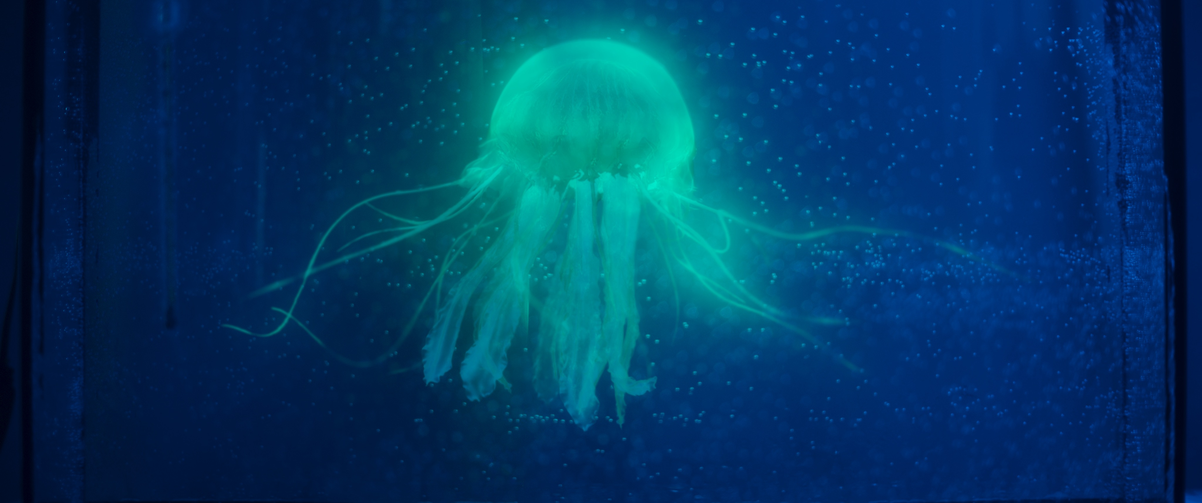 «Ленфильм» представит премьеру  драмы «Северная станция»1