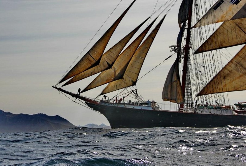 «Море зовёт!» - международный кинофестиваль снова пройдёт в Петербурге