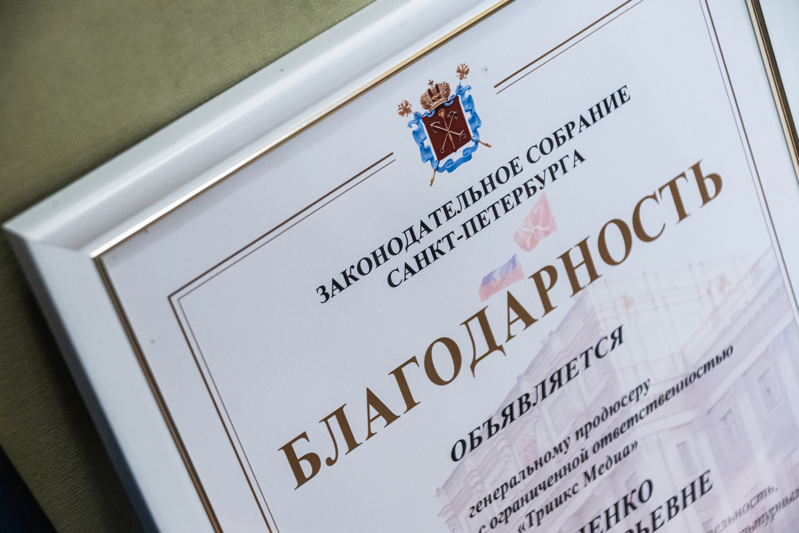 В Законодательном Собрании обсудили кинопроизводство в России и странах ближнего зарубежья12