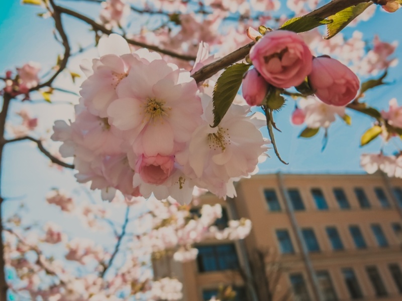 Бесплатные мероприятия в Санкт-Петербурге с 1 по 17 мая 2026 года