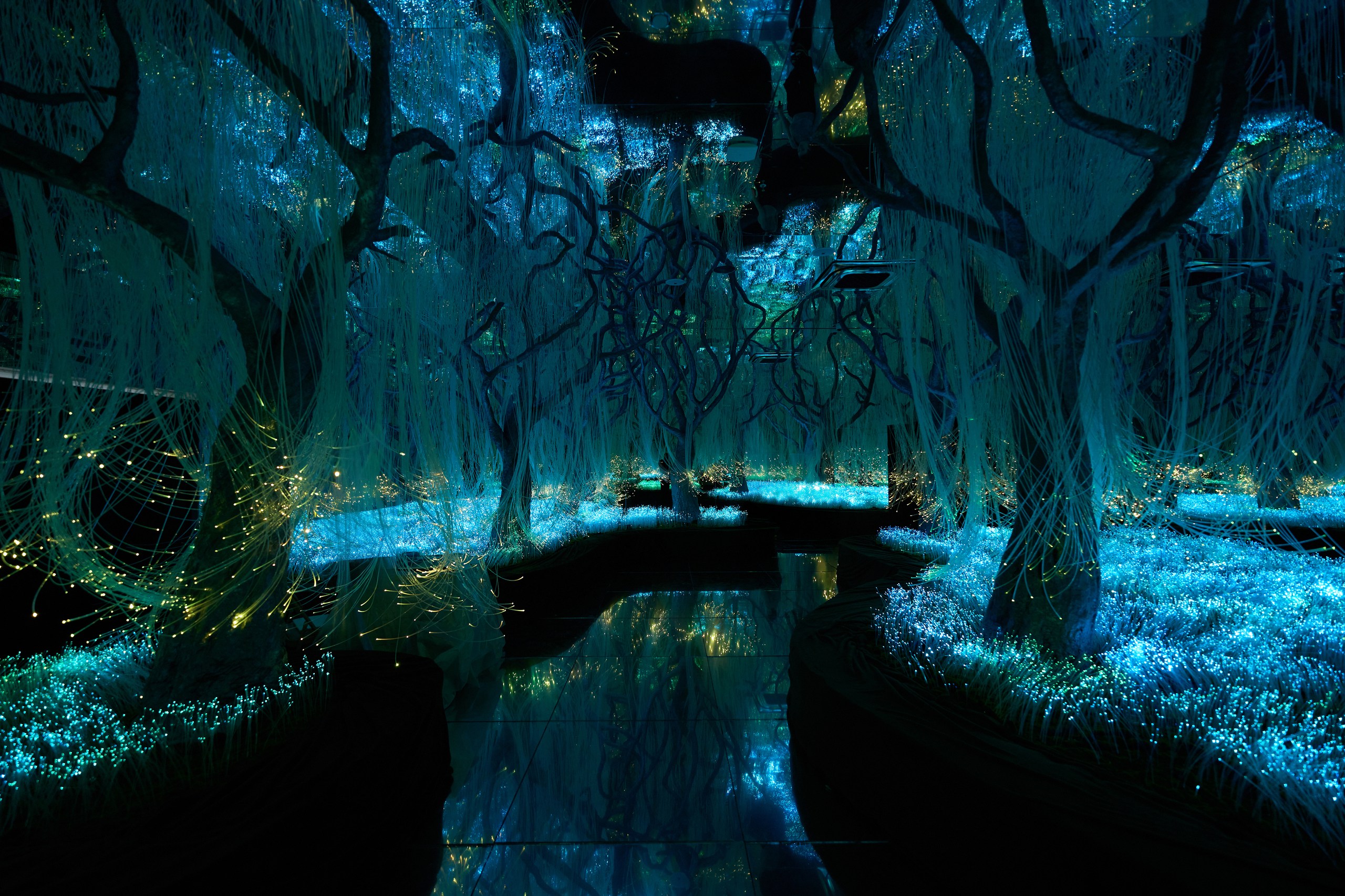 Петербургские художники превратят шрамы в свет6