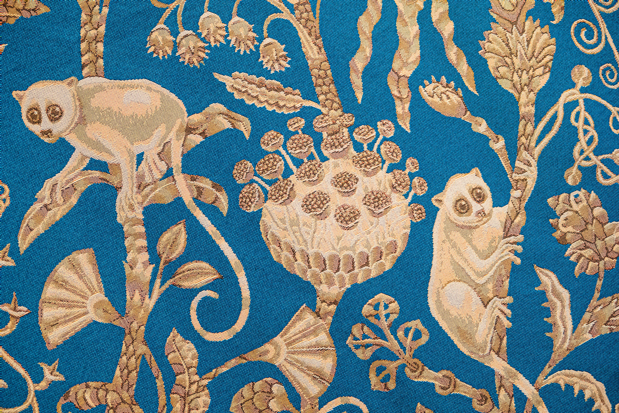 В особняке Румянцева можно увидеть шёлк, фарфор и лемуров22