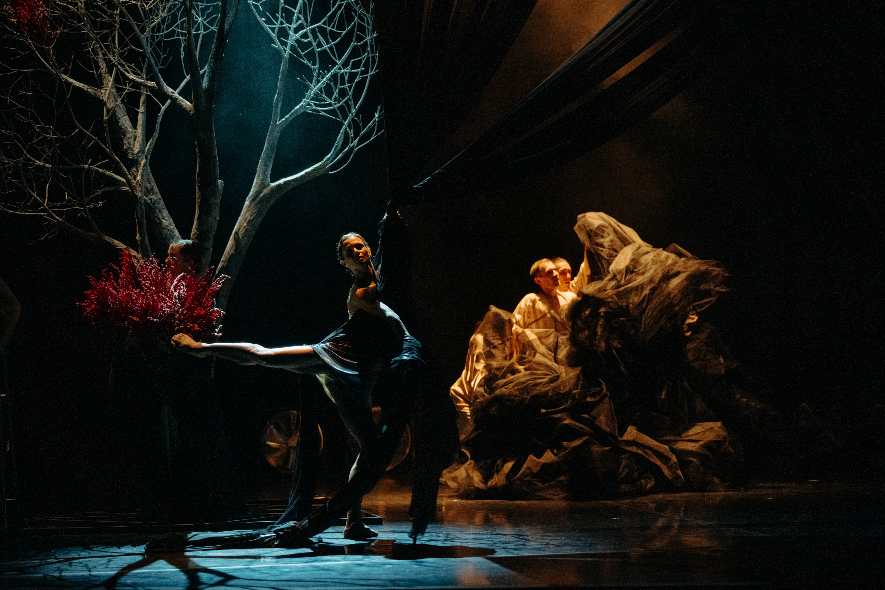 В Северной столице состоится II Фестиваль искусств имени Ф.И. Шаляпина «Дар»9