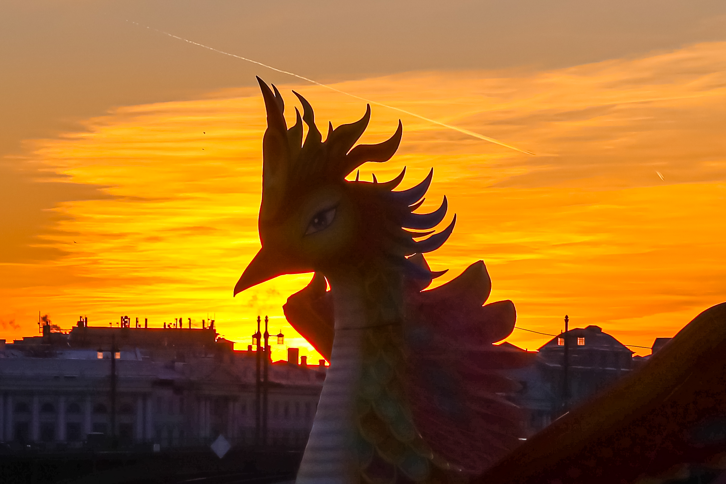 Драконы и фениксы из Цзыгуна поселились на Заячьем острове30