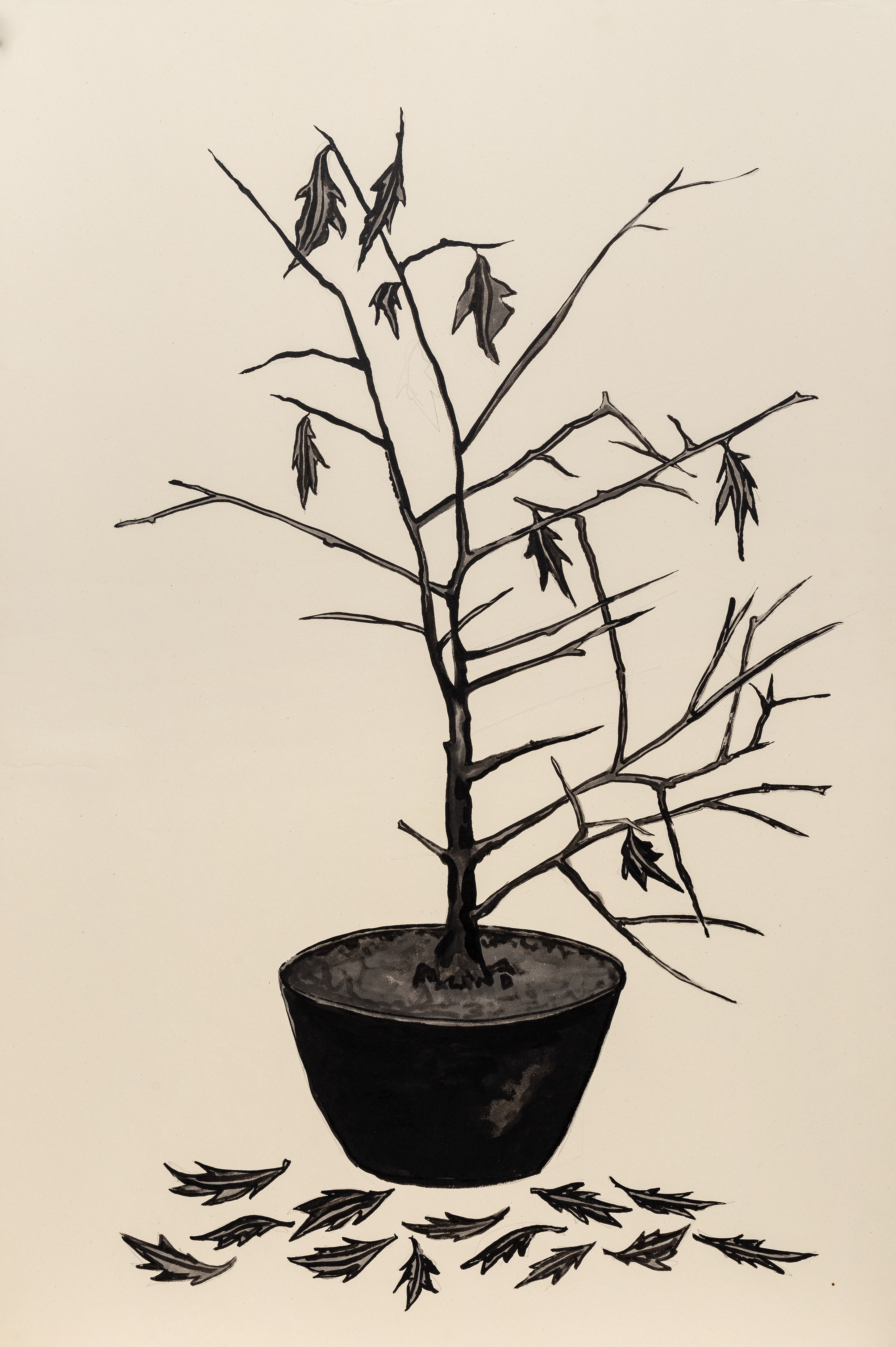 «Драму» Евгения Гранильщикова переосмыслят во Французском институте  2