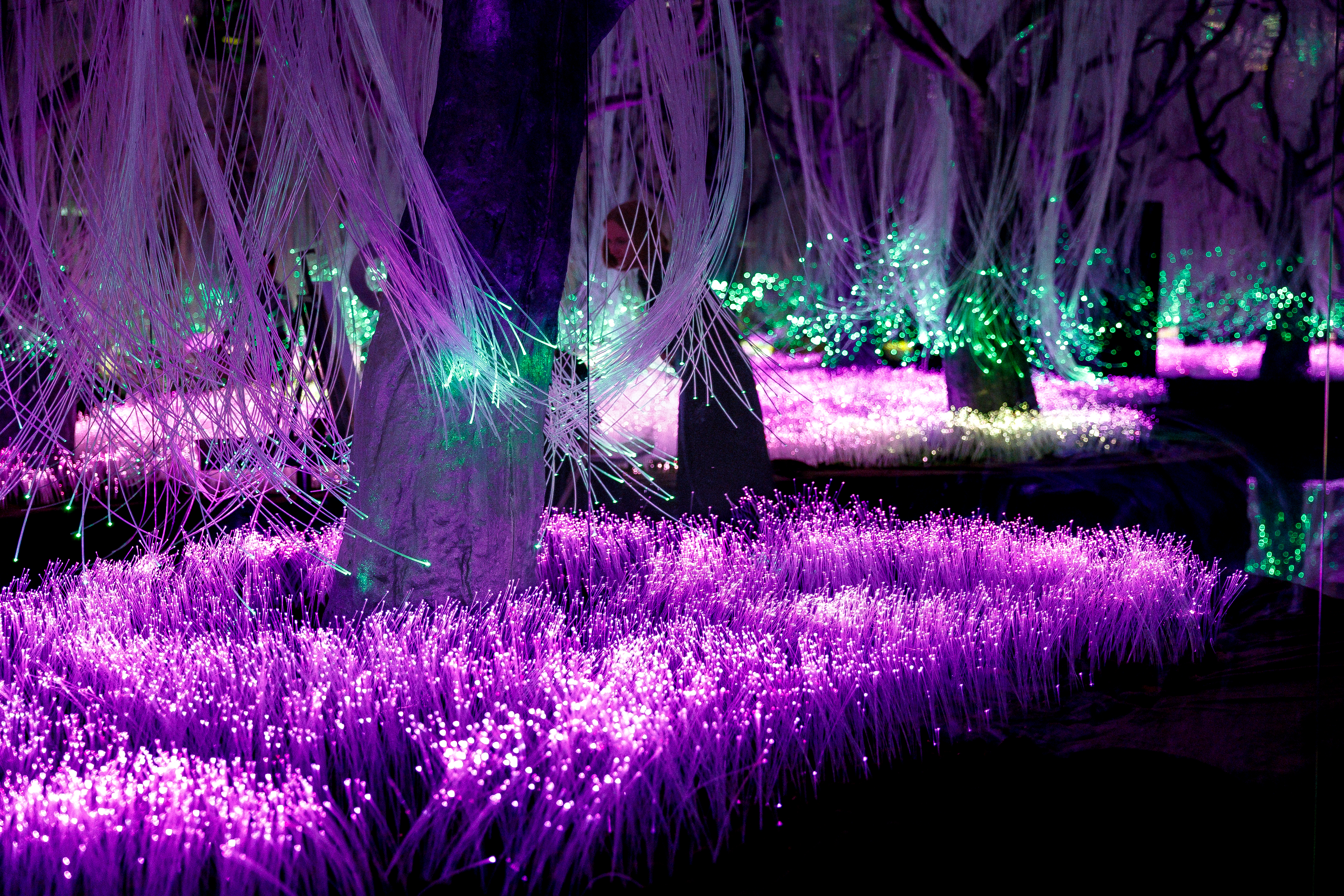 Новое арт-пространство Futurione Emotions погружает петербуржцев в мир чувств и инноваций3