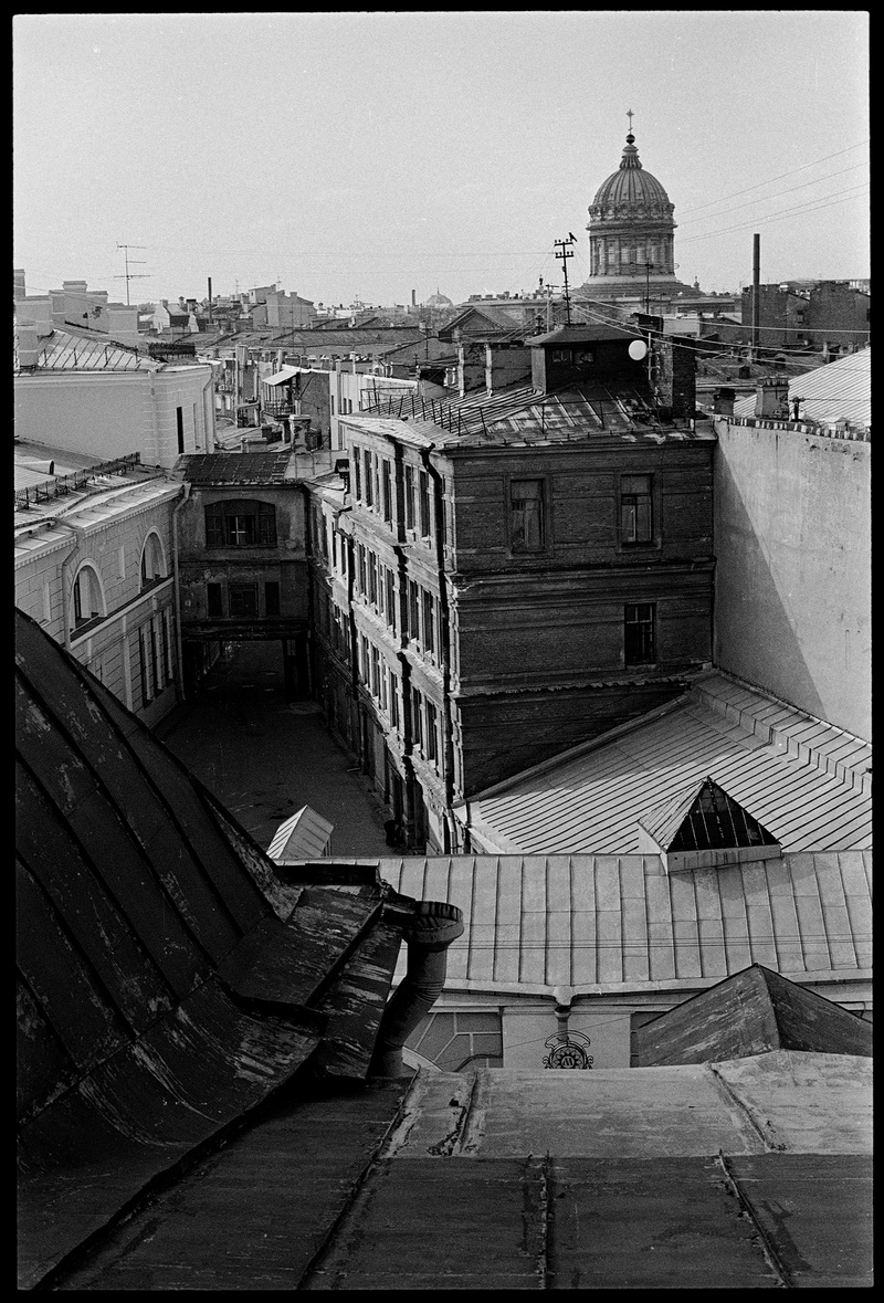 «Царскосельская коллекция» познакомит с Петербургом Алексея Соболева 1