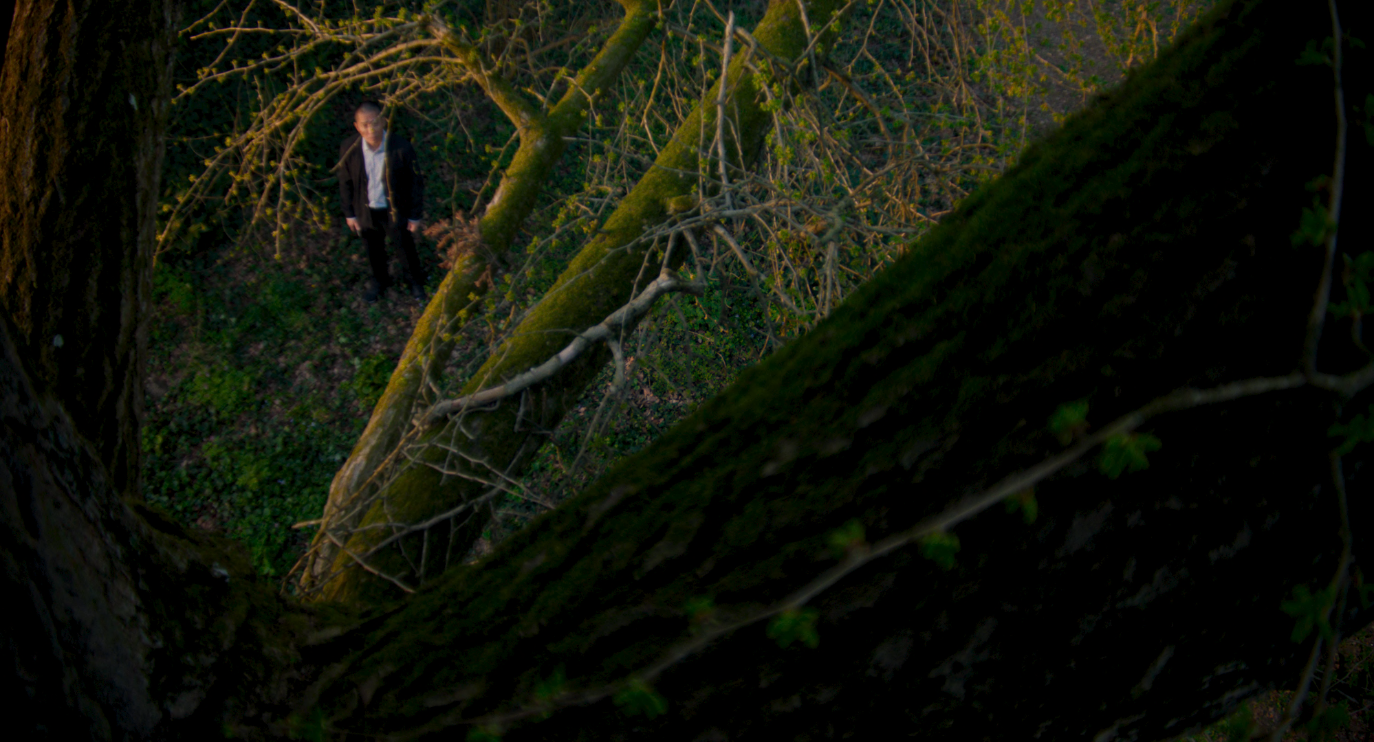 «Молчаливый друг» порассуждает о человеческой жизни в «Авроре»1