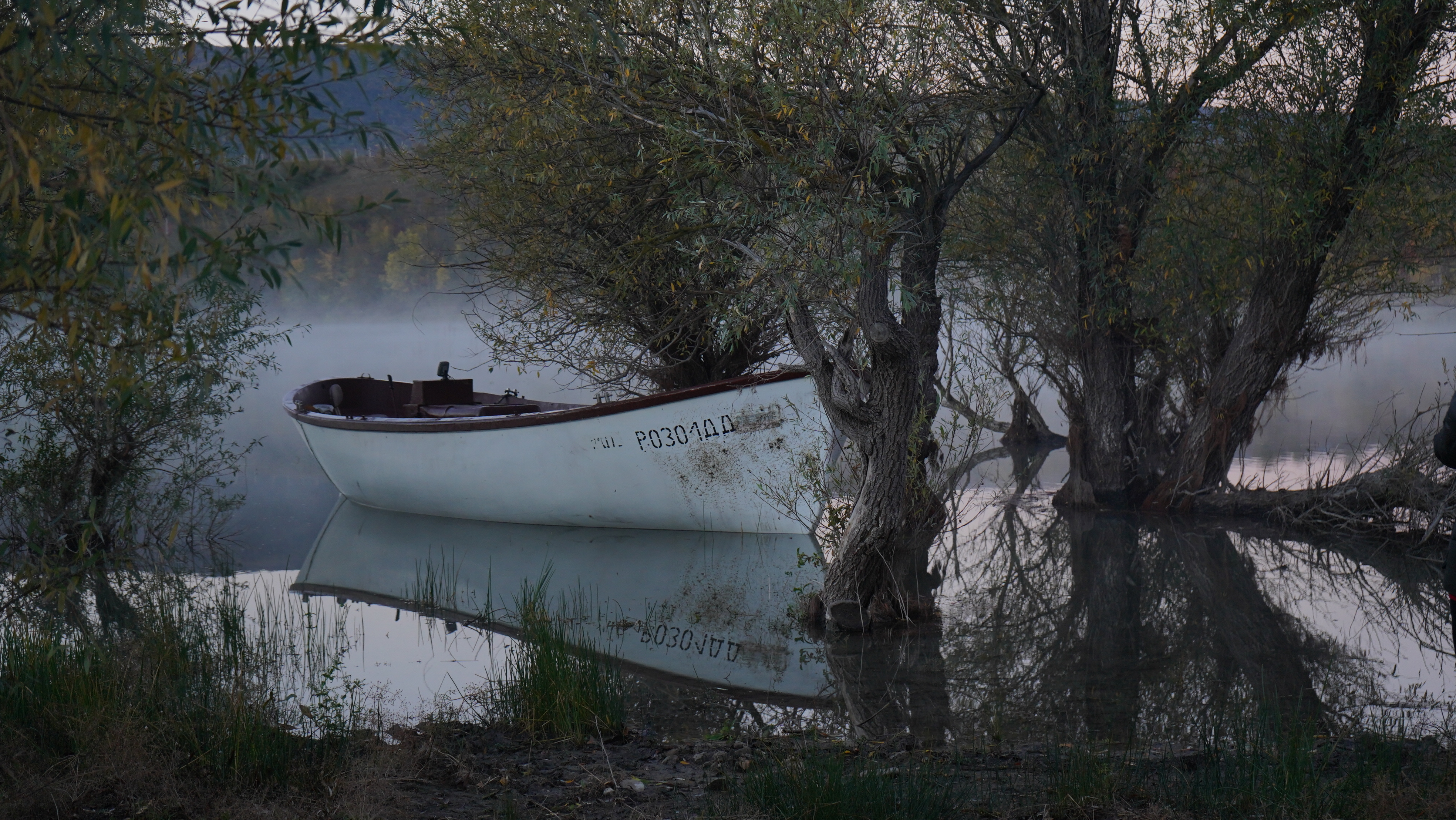 «Ленфильм» покажет «Ветер» за два дня до премьеры5