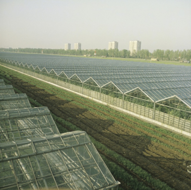 В Библиотеке Друзей откроется выставка, посвящённая Средней Рогатке 2