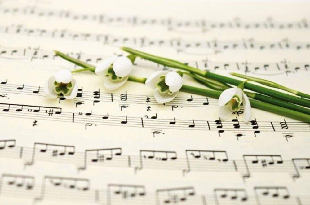 https://gazeta-chertanovo-juzhnoe.ru/2022/05/24/95170/?utm_medium=organic&utm_source=yandexsmartcamera