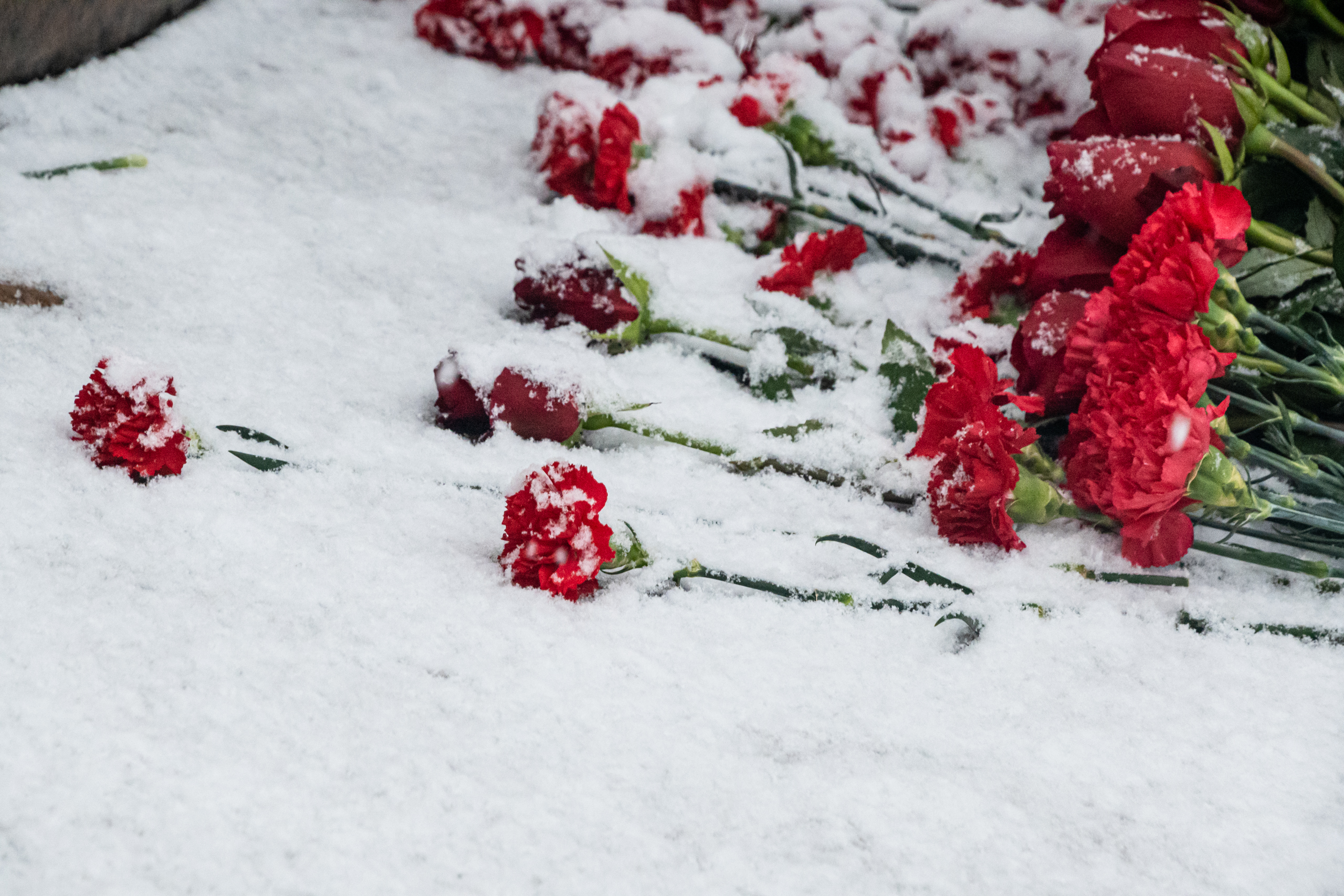 Суворову — 295 лет: в Петербурге проходят торжественные мероприятия 33