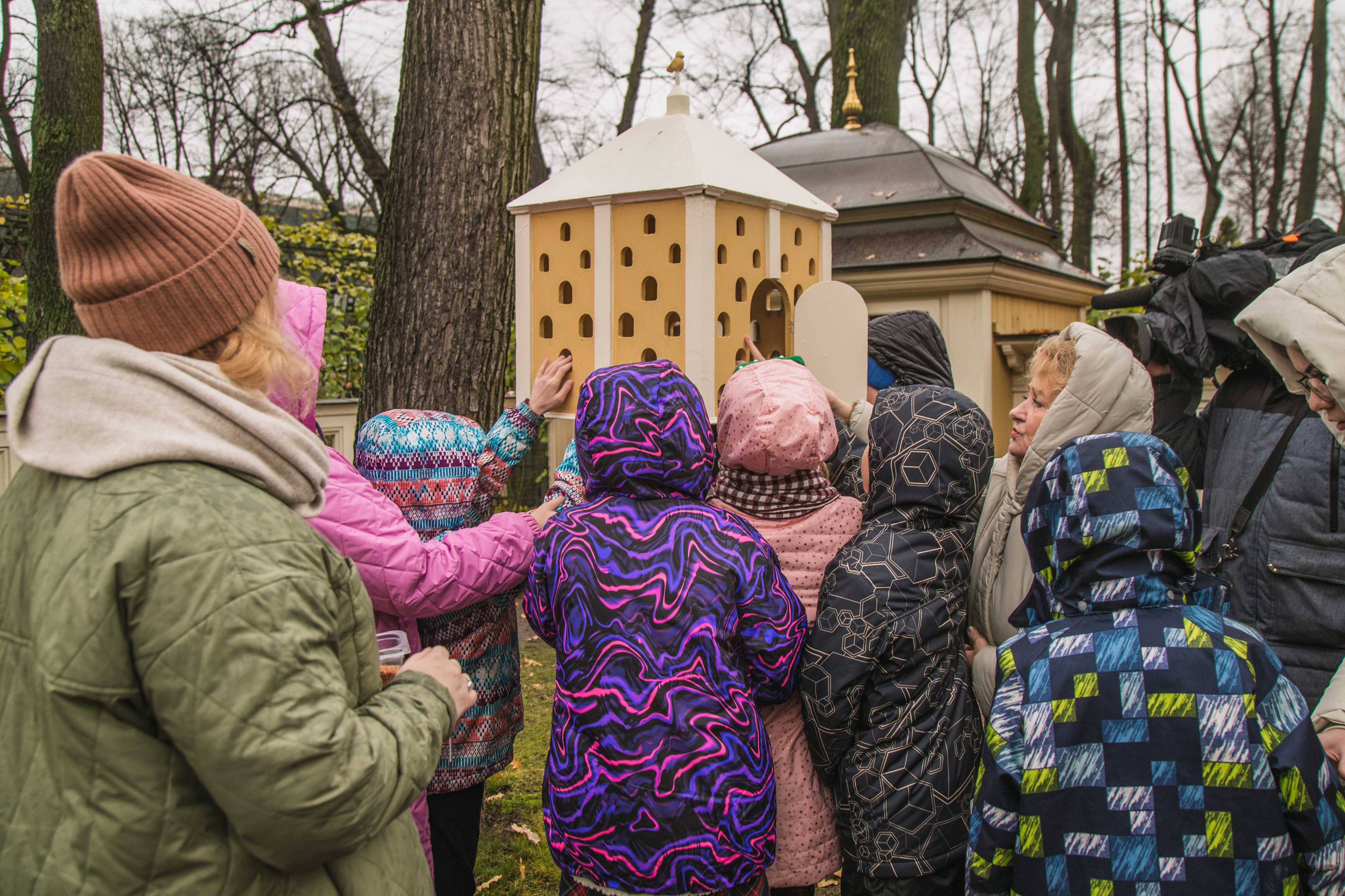 В Летнем саду настанет «Синичкин день» 3