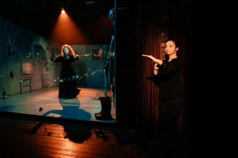 Спектакли на жестовом языке будут доступны в шести театрах Петербурга
