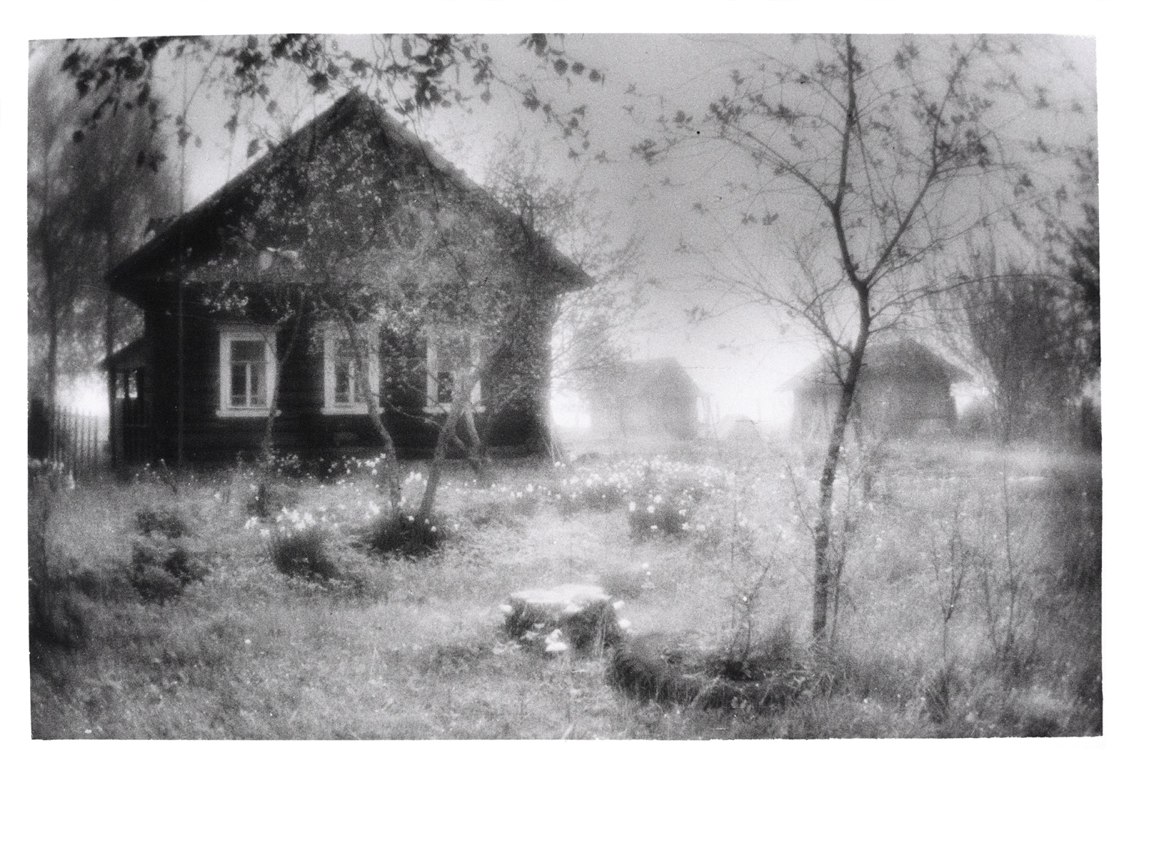 В галерее «Точка» затаят «Дыхание дома»  1