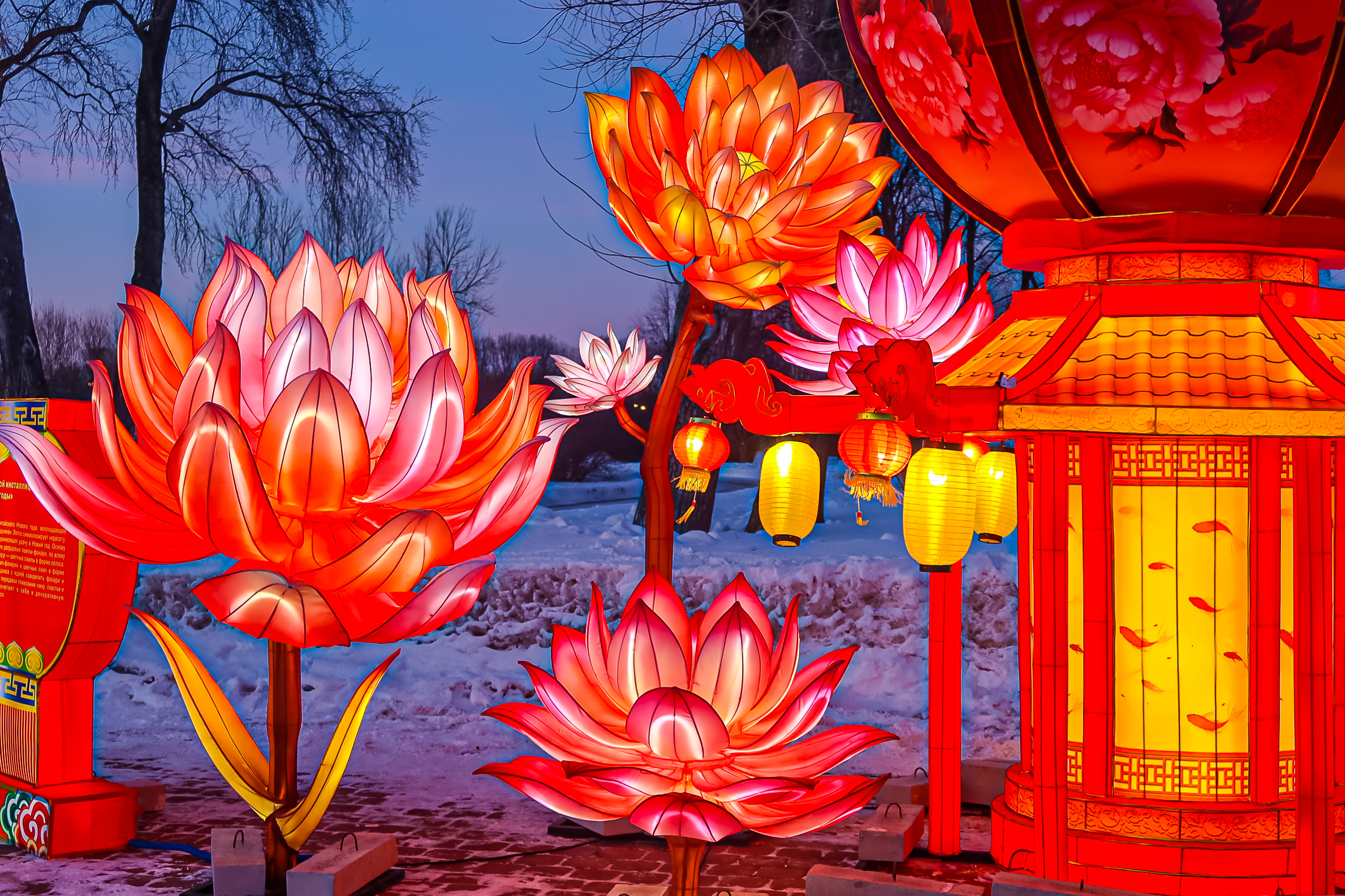 Драконы и фениксы из Цзыгуна поселились на Заячьем острове36