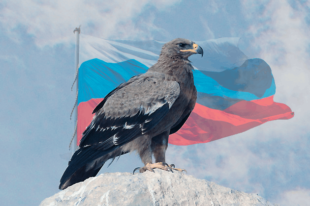 Архив библиотеки