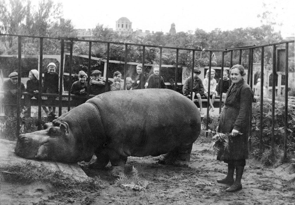 https://tvspb.ru/news/2025/01/27/kak-zhil-leningradskij-zoosad-vo-vremya-blokady?utm_medium=organic&utm_source=yandexsmartcamera
