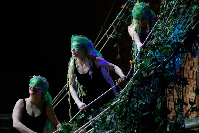 Правообладатель фото: Пресс-служба Мариинского театра.