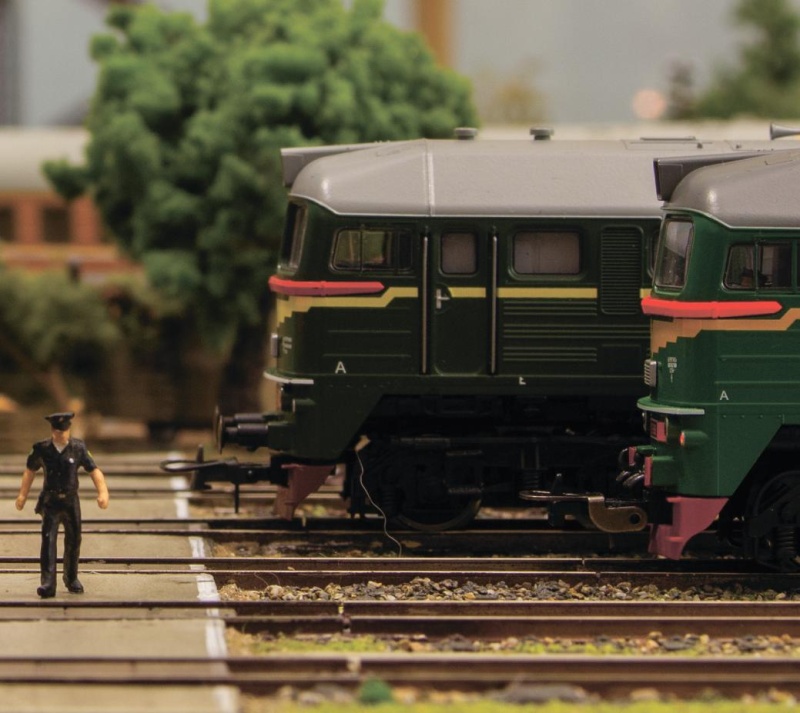 Любителей железнодорожного моделизма просят пройти на выставку