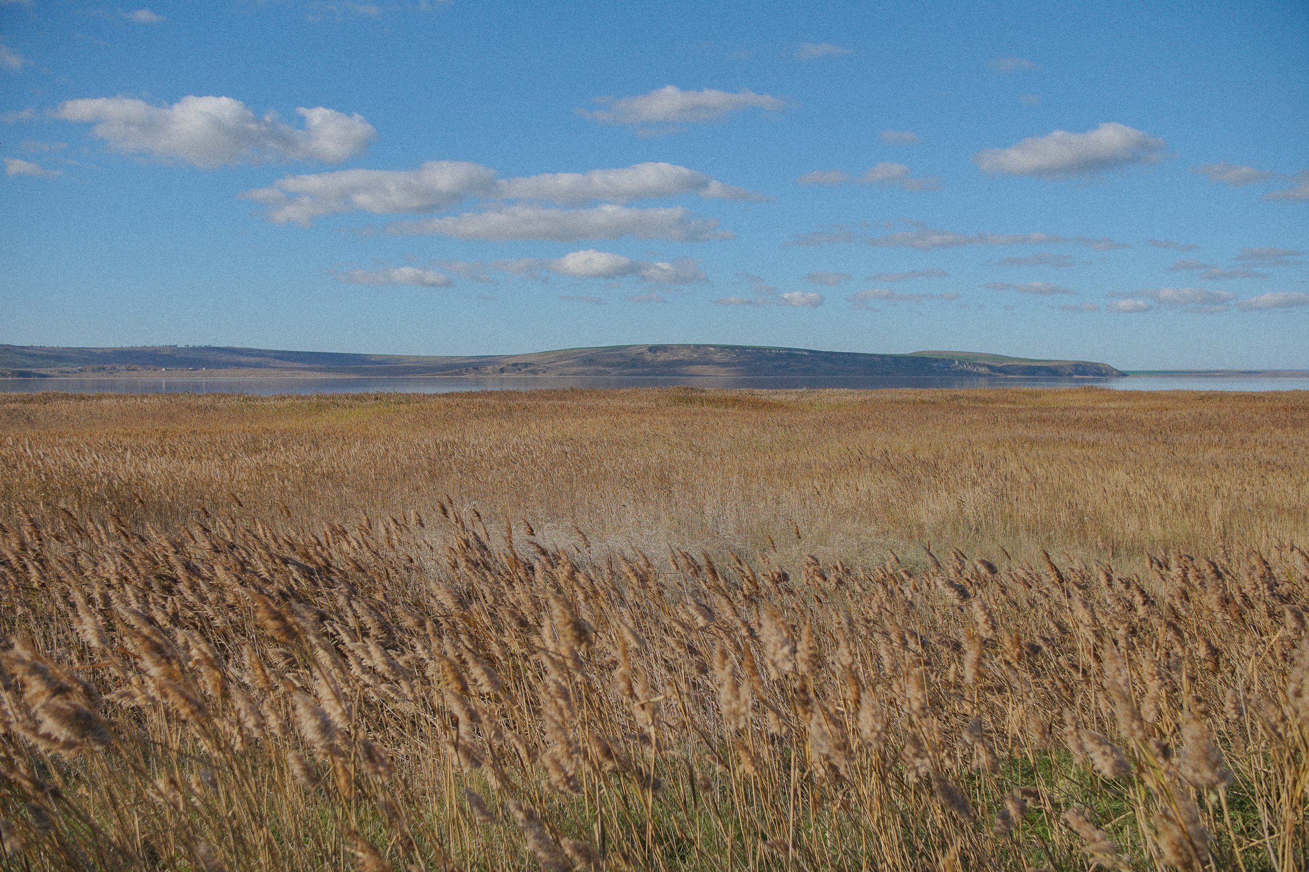 «Ленфильм» покажет «Ветер» за два дня до премьеры6