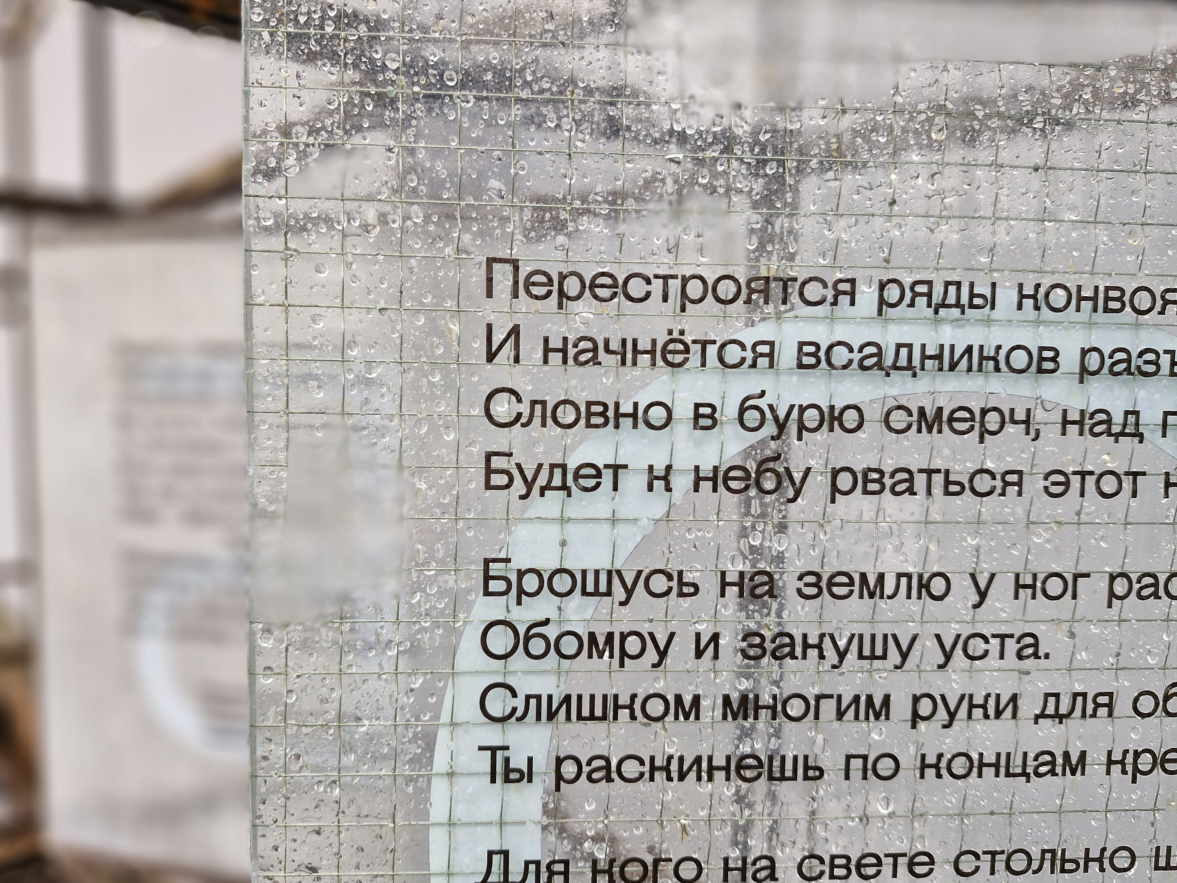 В саду Фонтанного Дома сплетутся строчки шедевров мировой поэзии 3