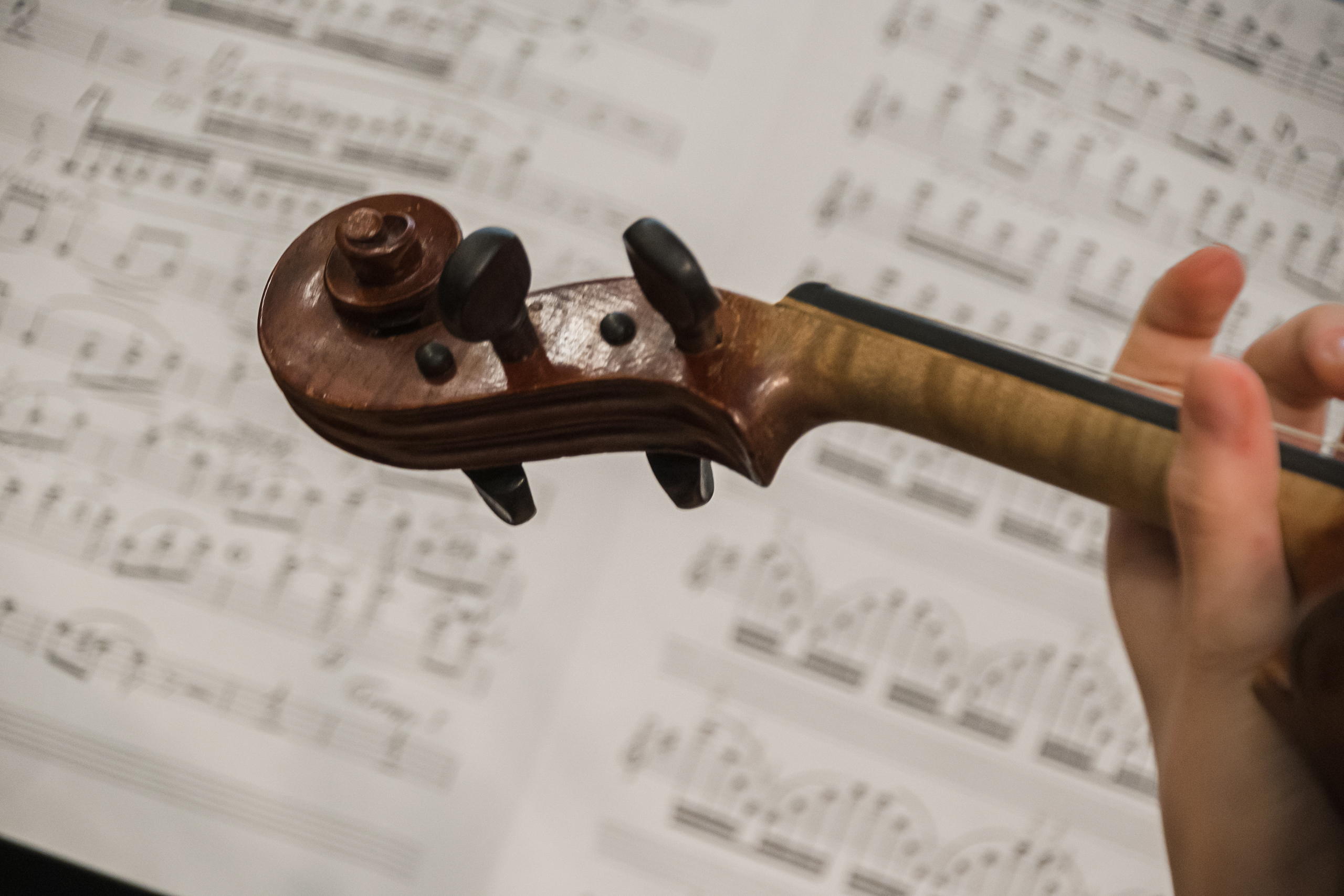 В Капелле наградили лучших учителей в сфере культуры и искусств8