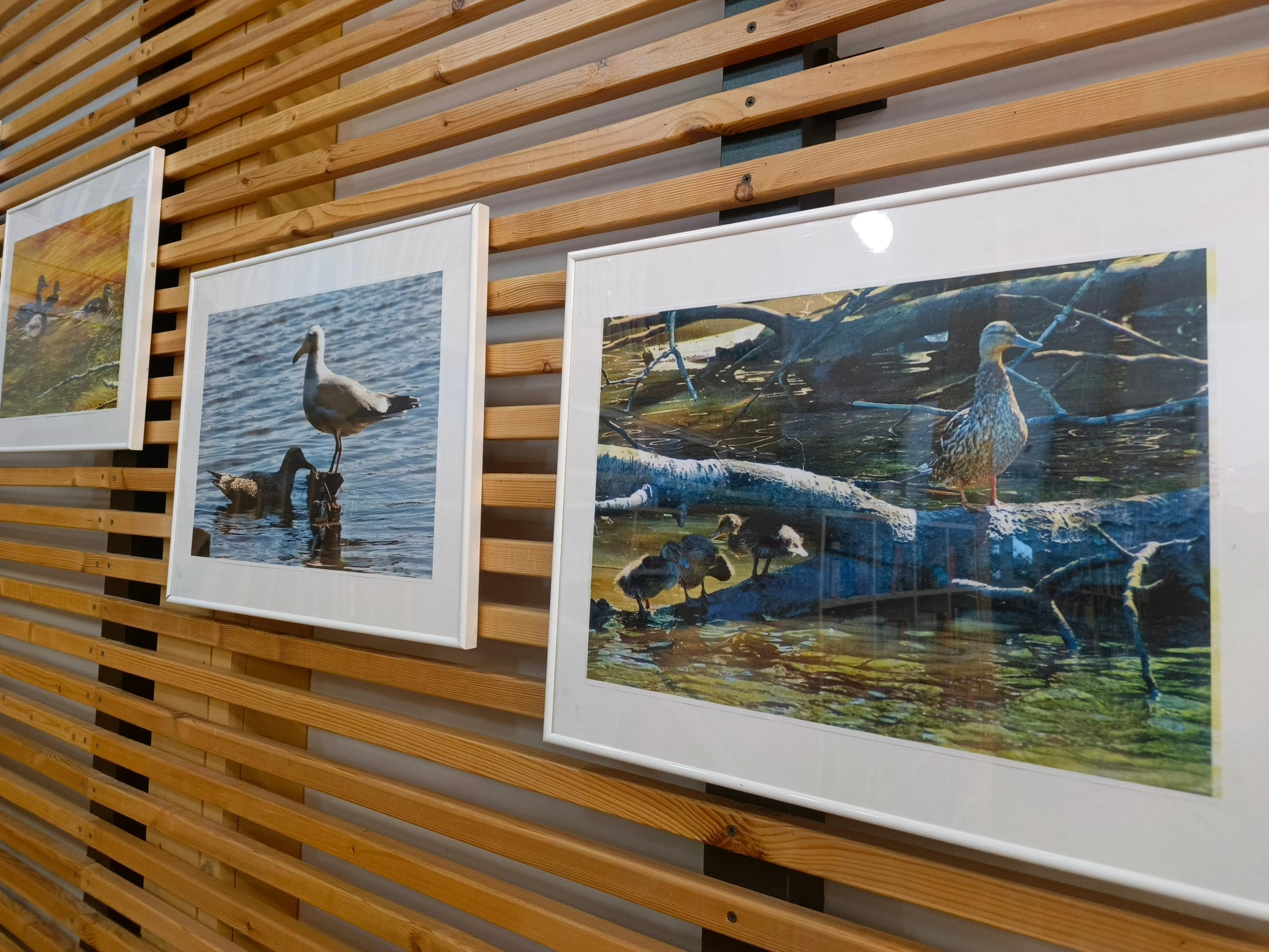 Фото выставки