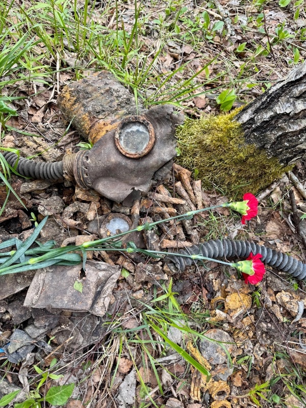 Правообладатель фото: Михаил Деньгин.