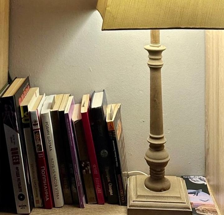 Во Всемирный день книги петербуржцам подарят розы