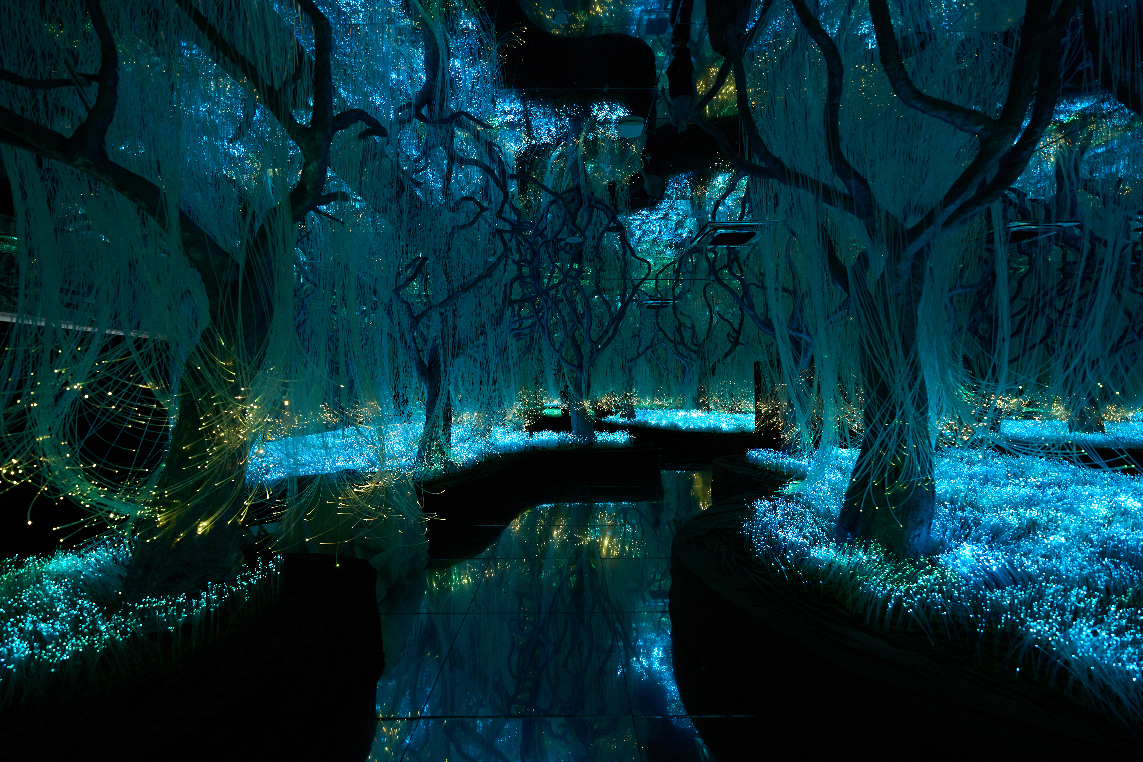 Новое арт-пространство Futurione Emotions погружает петербуржцев в мир чувств и инноваций8