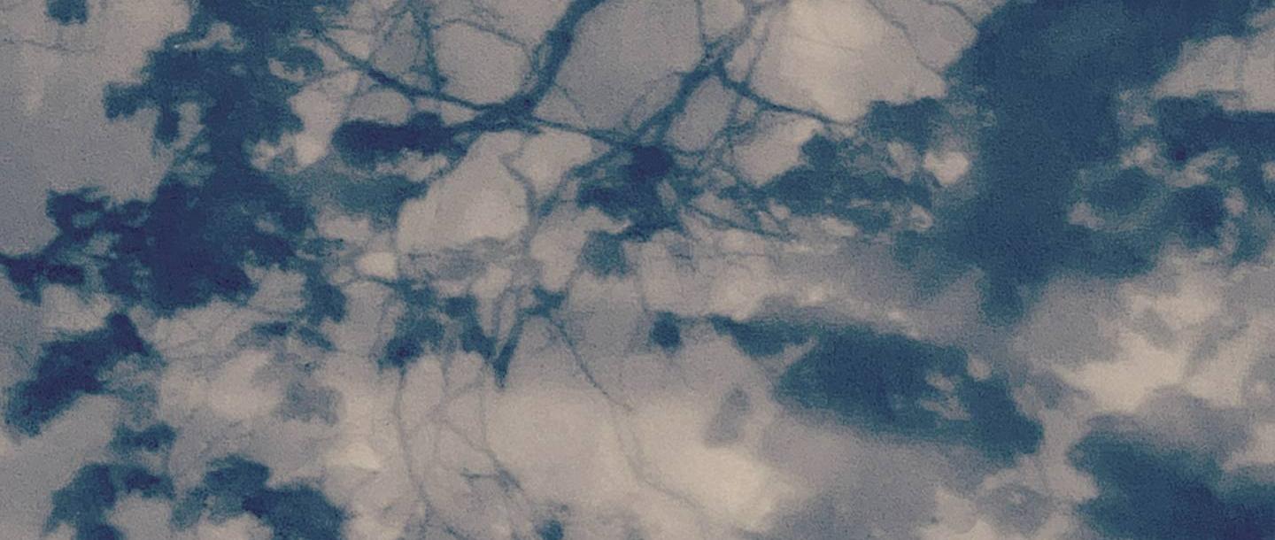 Правообладатель фото: Пресс-служба галереи White Rainbow. 