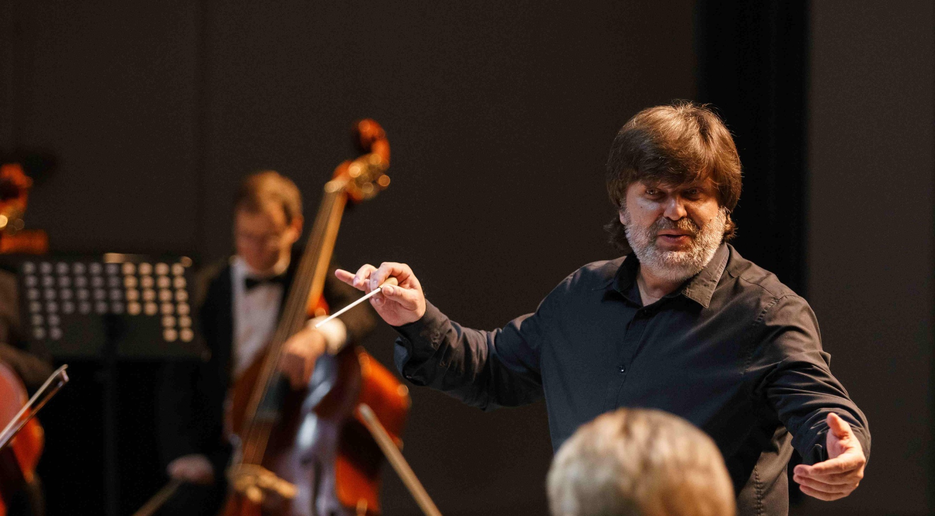 В «Лахта-холле» можно увидеть цифровое симфо-шоу «ИИ»