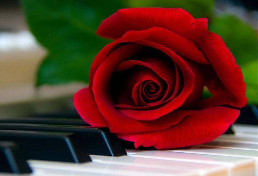 https://libaskiz.rh.muzkult.ru/news/108002864