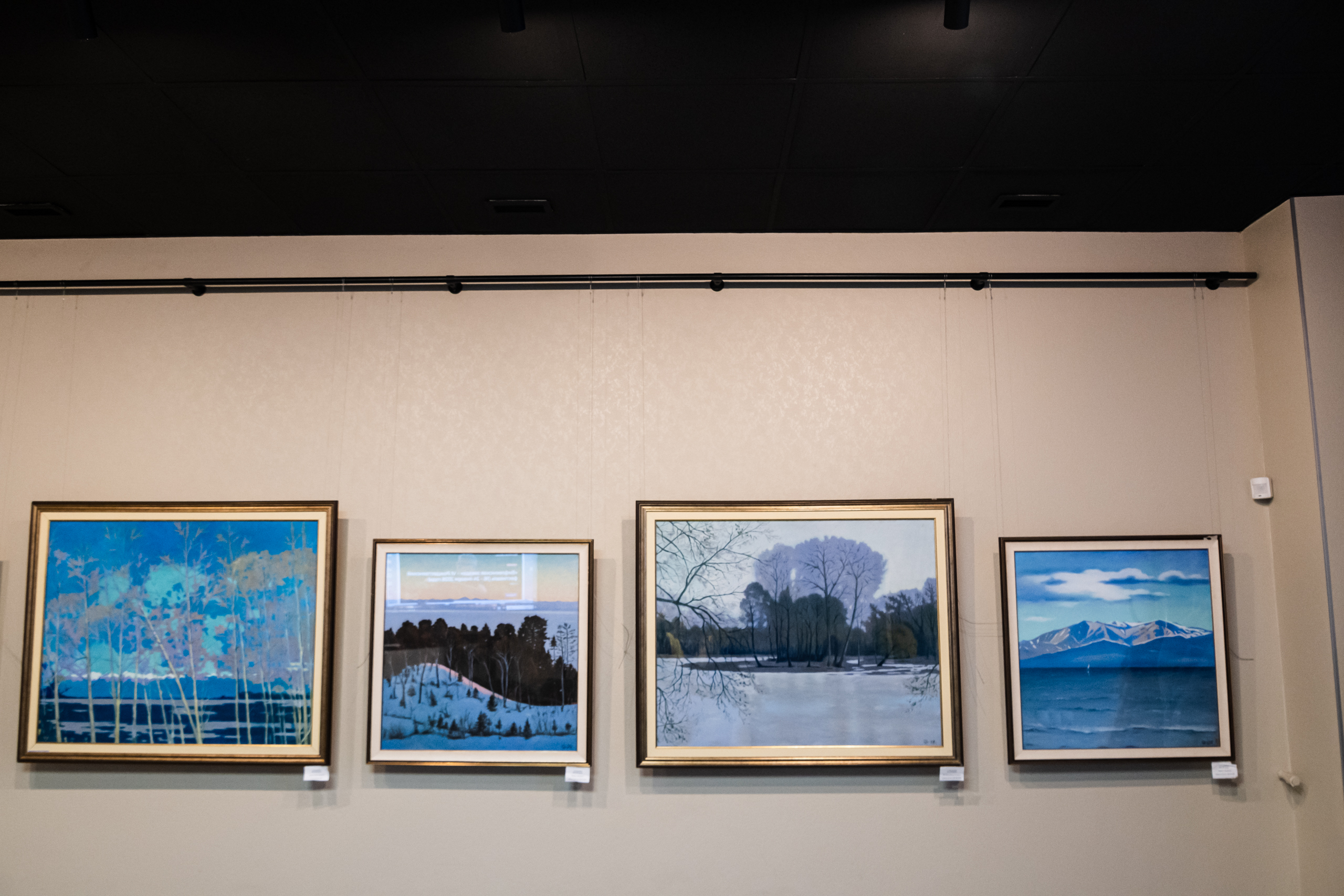 Вся красота зимы предстала на выставке Петра Гамаюнова6